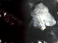 260317-2-15