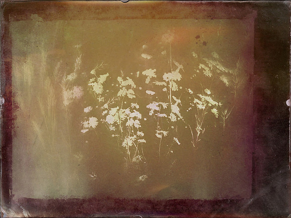 7-81