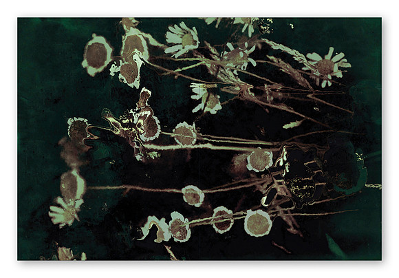JWE-JW-RL-V210x280-PR-Spreads40_1080px