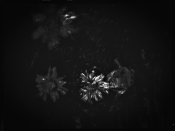 13-64