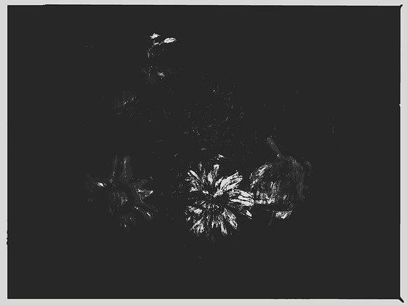 13-66
