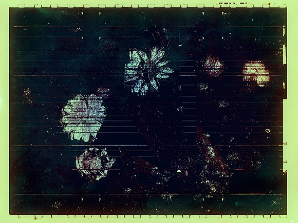 29-67
