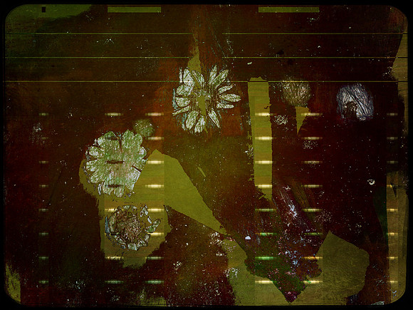 29-79