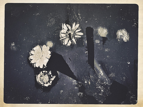 29-101