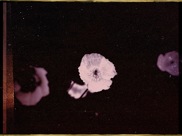 33-36