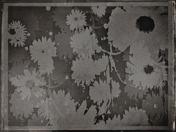 33-79