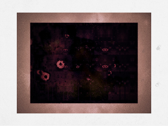 10-113