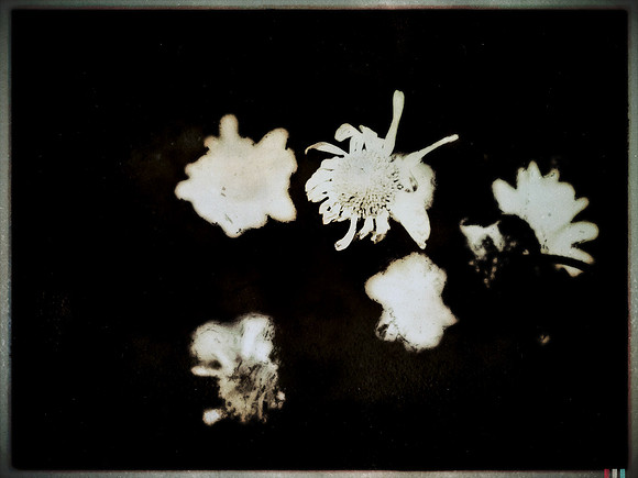 13-110