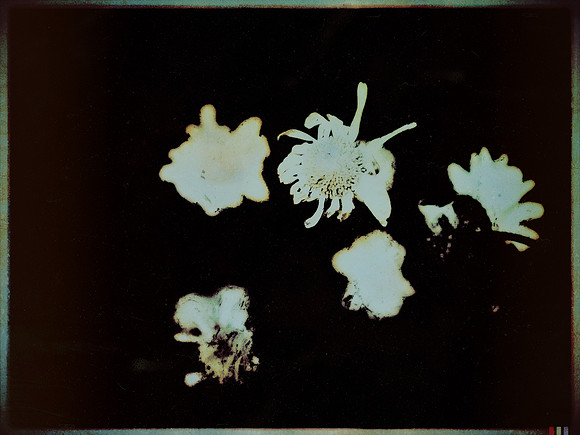 13-111
