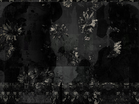 11-113