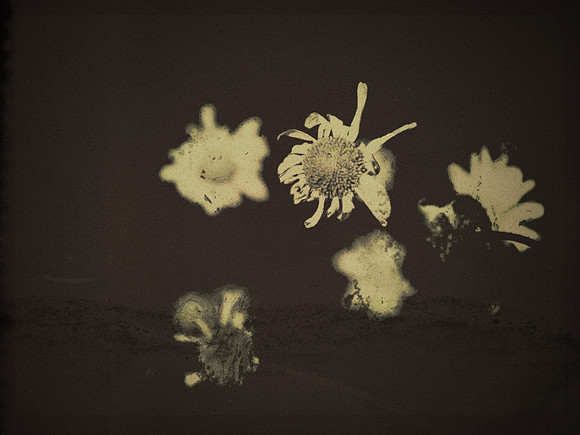 13-114