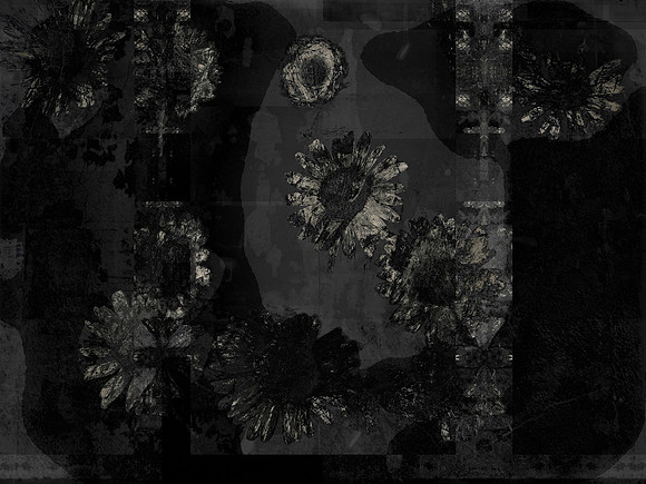 11-129