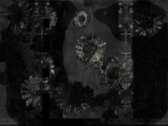 11-131