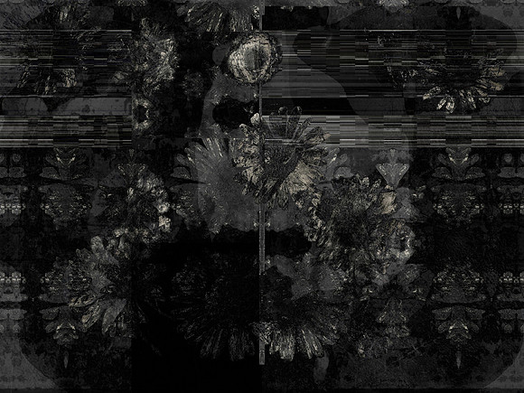 11-164