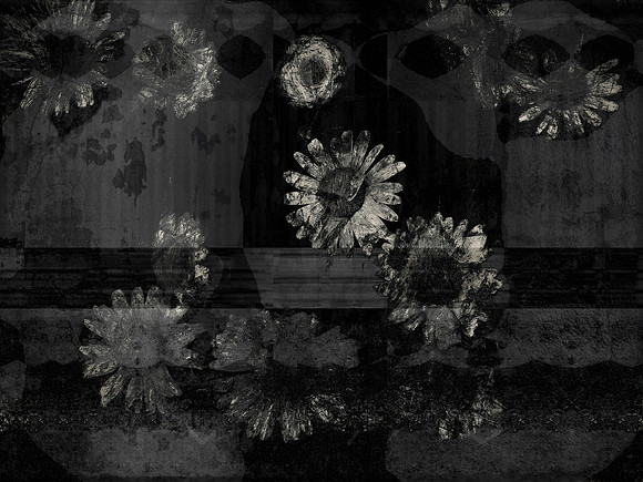 11-176