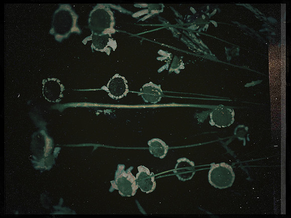 14-87