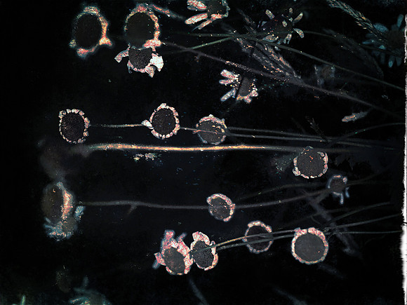 14-92