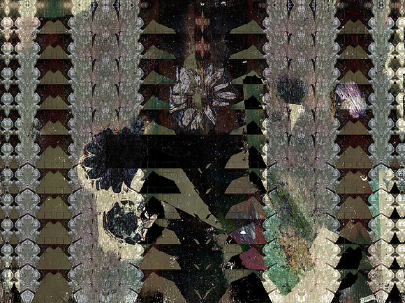 28-119