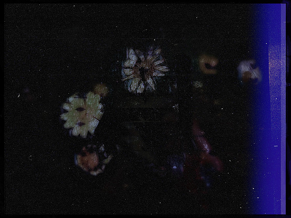 29-73