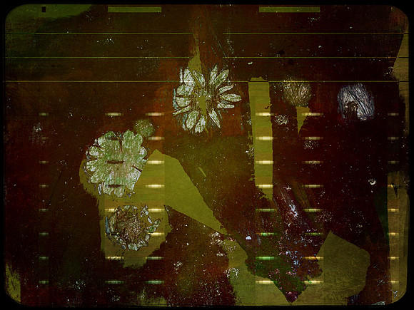 29-79