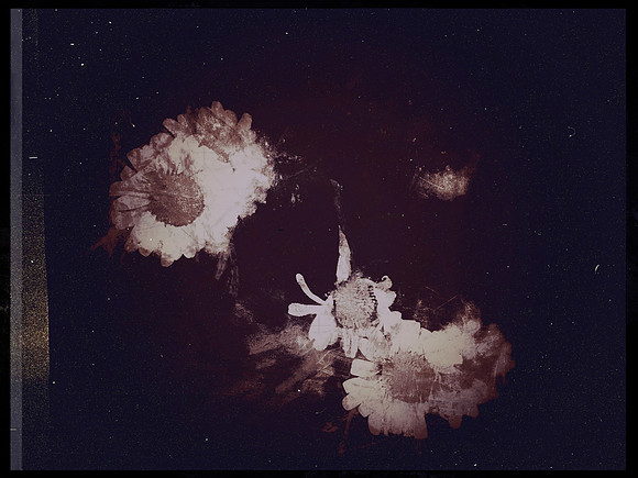 37-51
