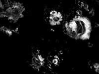 1-82
