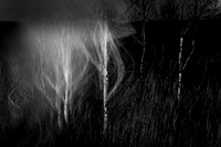 210417-4-1