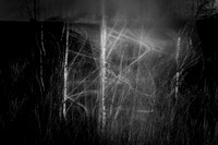 210417-4-5