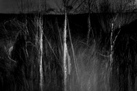 210417-4-9
