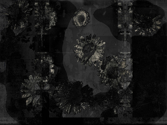 11-129