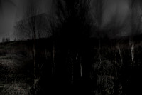 250417-3-5