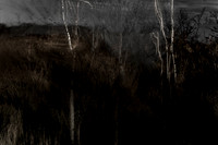 270417-1-13
