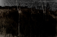 270417-1-15