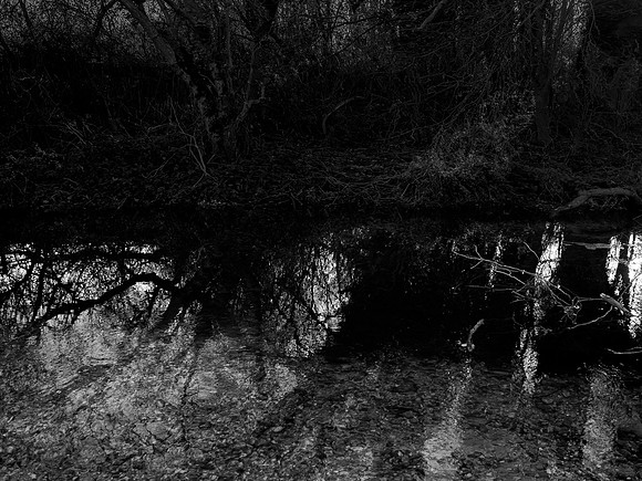 river 281116-3-1_31188297431_o