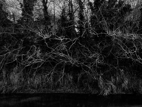 river 281116-1-1_31264251856_o