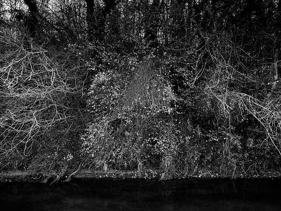 river 291116-2-1_30495647154_o