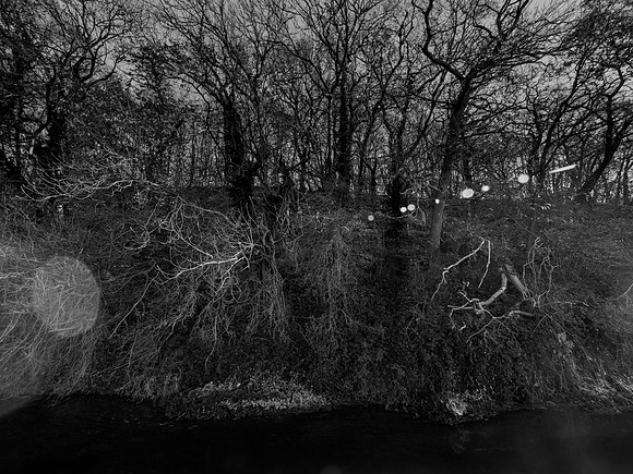 river 031216-1-1_31393863835_o