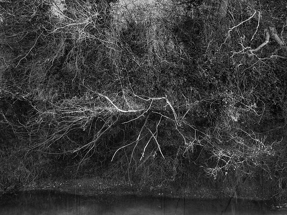 river 031216-2-1_31359376076_o