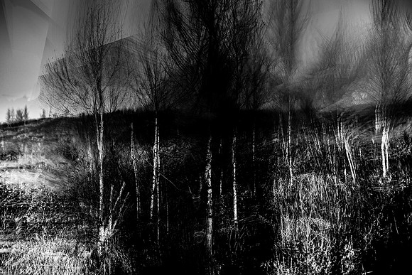 250417-3-3