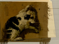 02-20