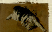 03-16
