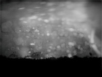 030517-1-13-Edit-Edit-2