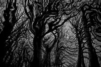 chrisfriel-5-4