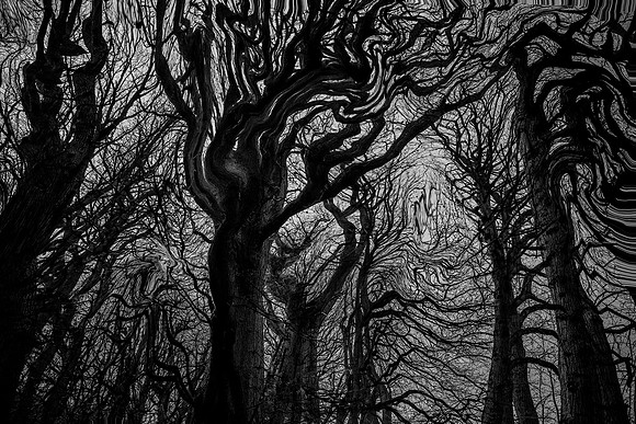 chrisfriel-5-4