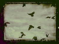 1-7-Edit-Edit