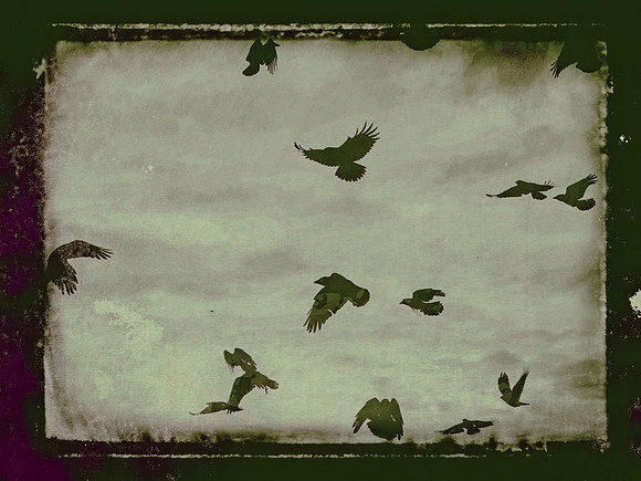 1-7-Edit-Edit