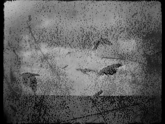 2-66-Edit-4-Edit