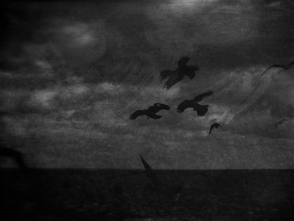 2-68-Edit-3-Edit