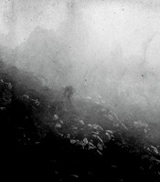 FrielChris-After-SinglePageVisuals-v4-HighRes16_1080px