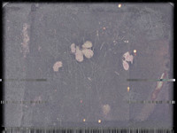 1-44